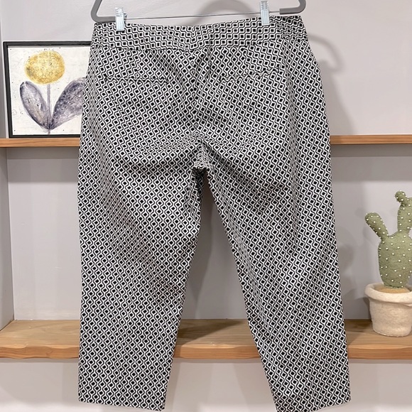 Coldwater Creek Capri Pants, Size 16 - Picture 4 of 10